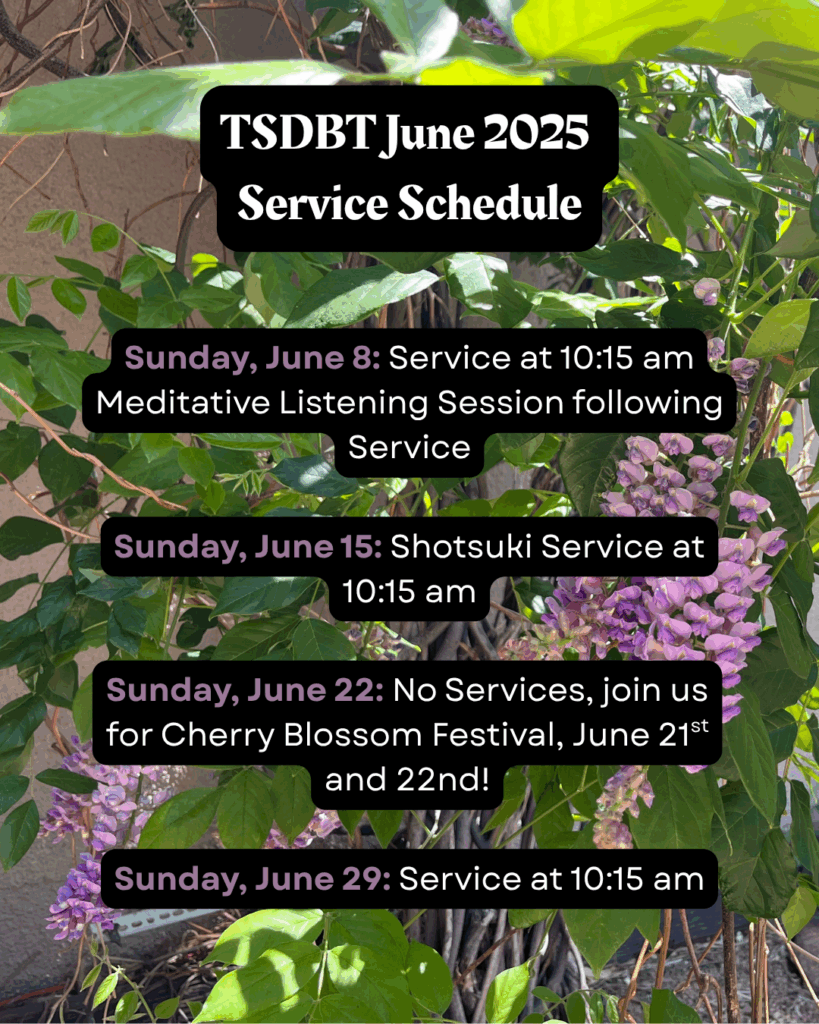 Flyer with photo of blooming, purple wisteria in the background. Black text boxes with white text list the TSDBT June 2025 Service Schedule: Sunday, June 8: Service at 10:15 am Meditative Listening Session following service Sunday, June 15: Shostuki Service at 10:15 am Sunday, June 22: No Services, join us for Cherry Blossom Festival June 21st and 22nd! Sunday, June 29: Service at 10:15 am