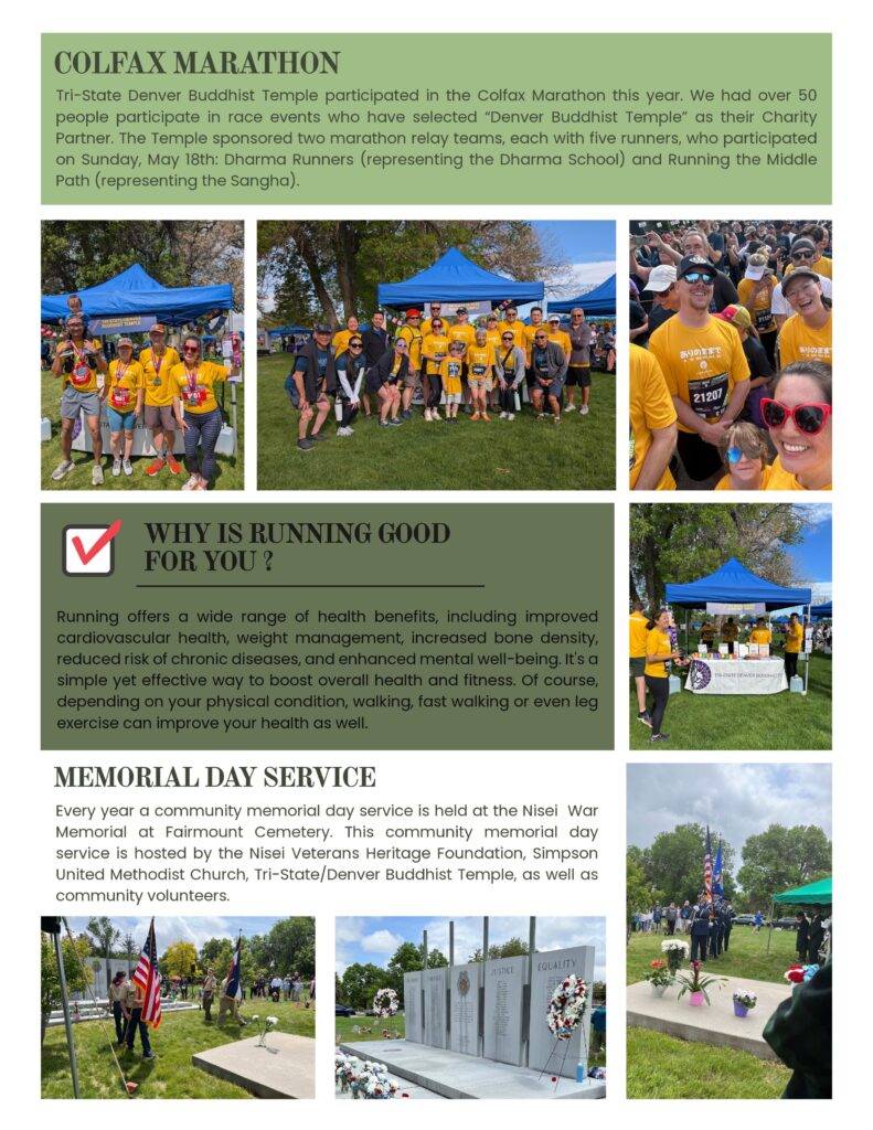 Newsletter-3